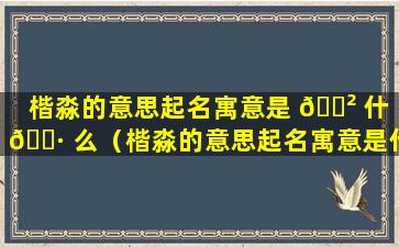 楷淼的意思起名寓意是 🌲 什 🌷 么（楷淼的意思起名寓意是什么意思啊）